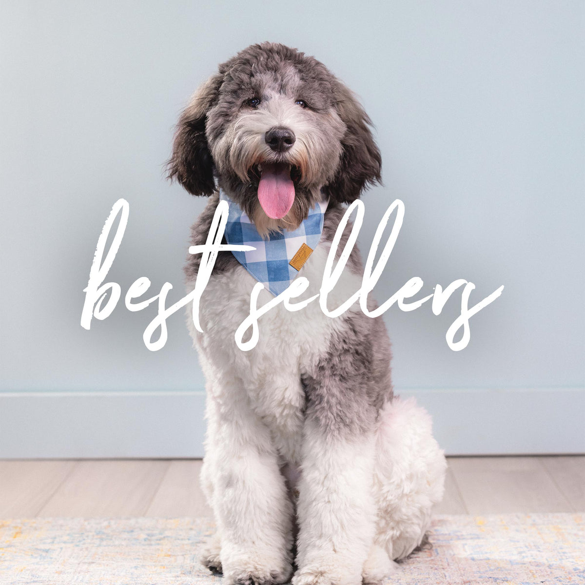 Best Sellers – Remy+Roo