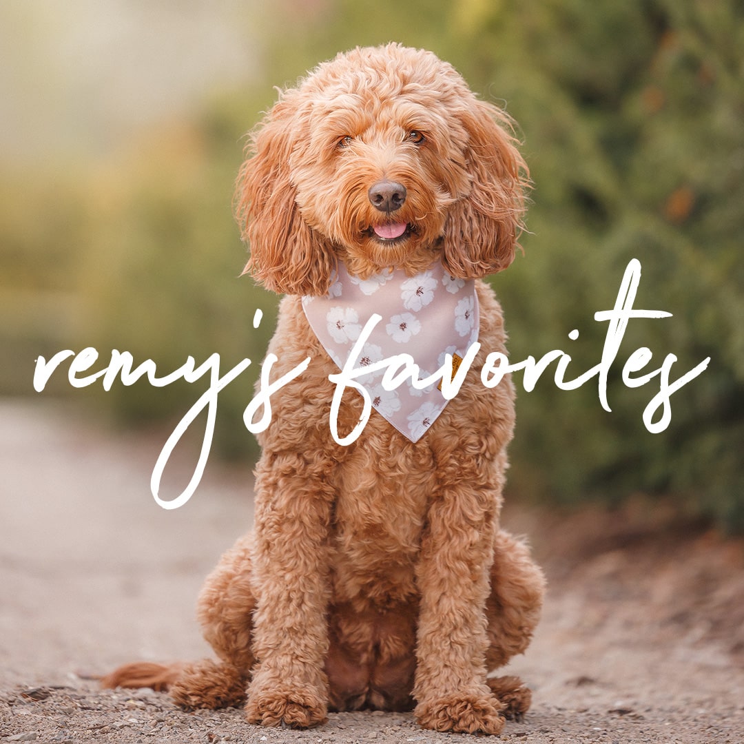 Collections – Remy+Roo