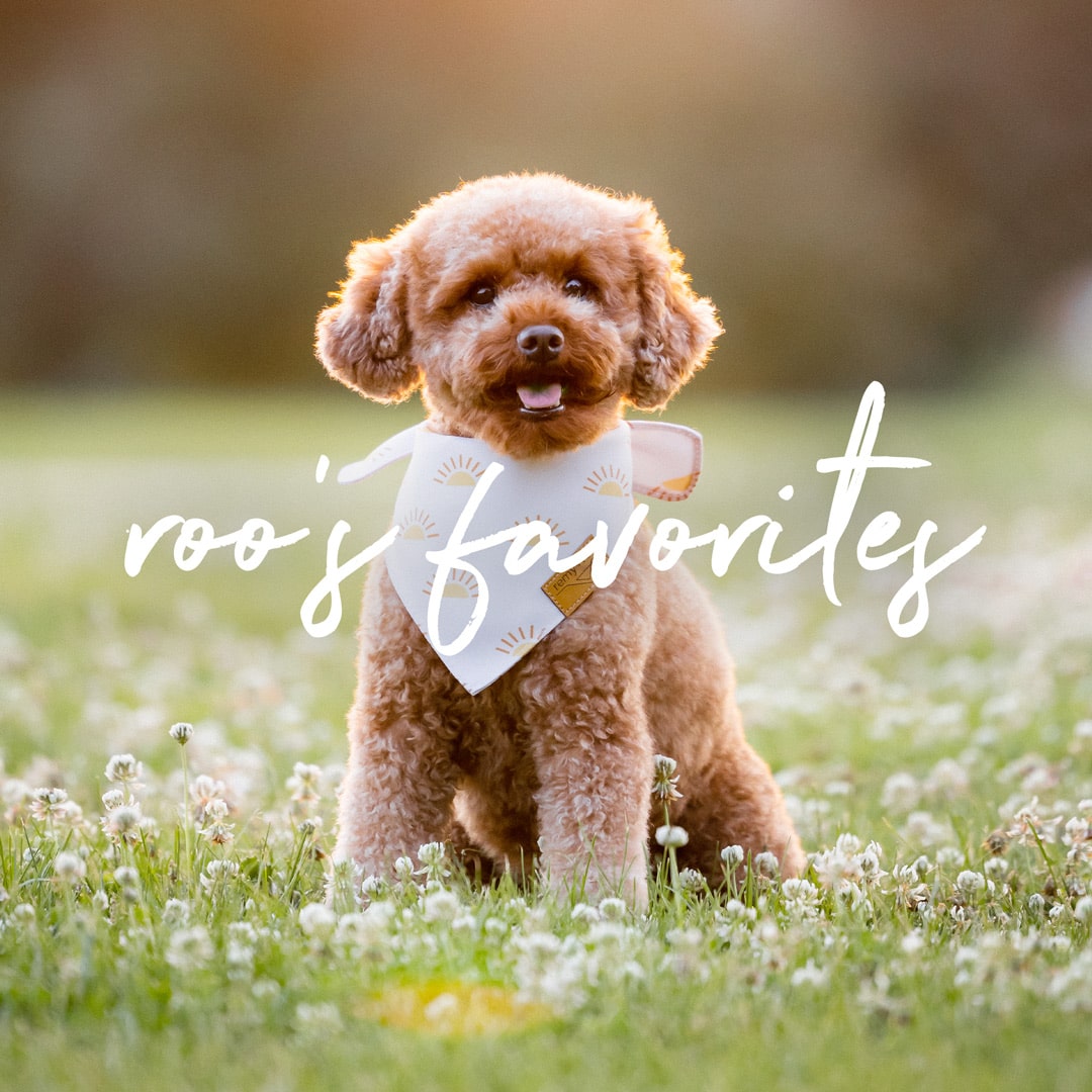 Roo's Favorites – Remy+Roo