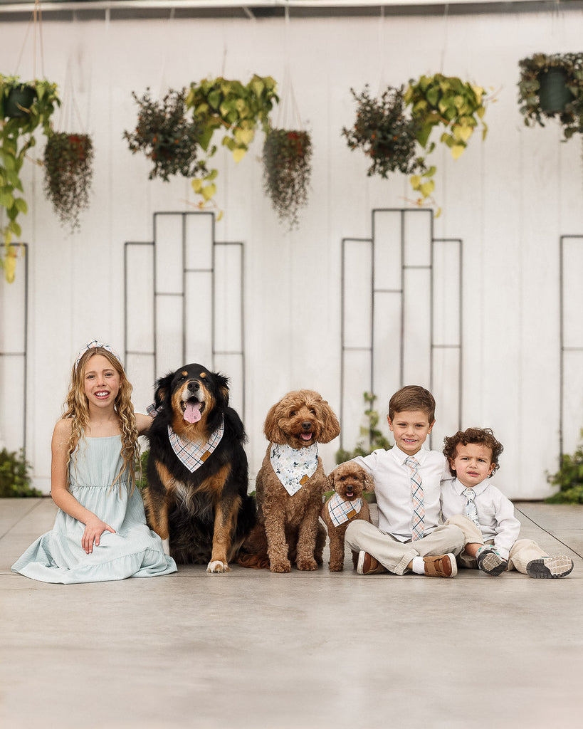 Boon Ties x Remy+Roo