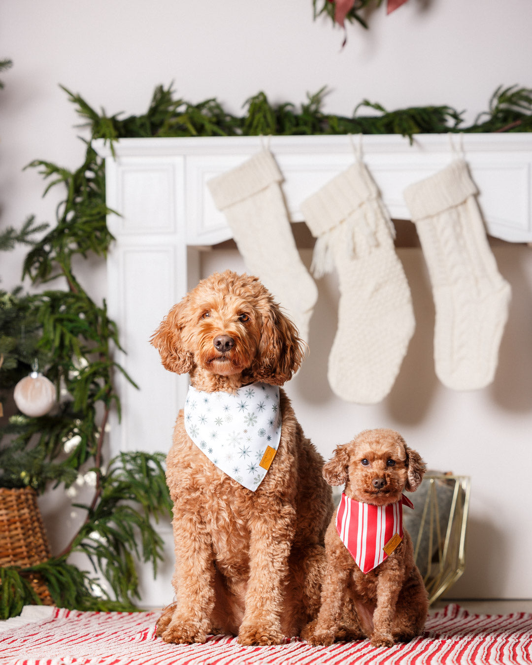 Winter Remy Winter – Remy+Roo