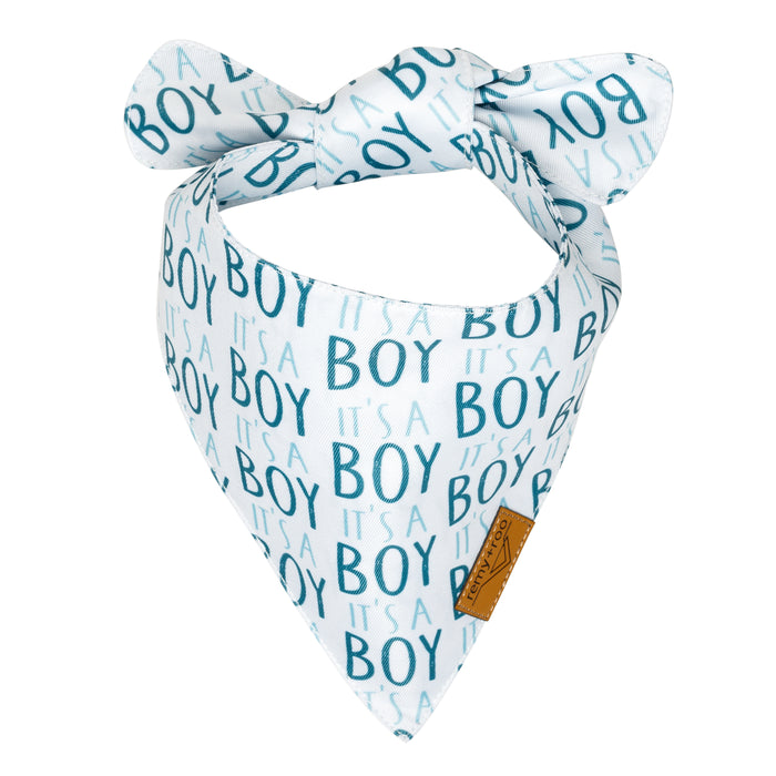 It's a BOY!
