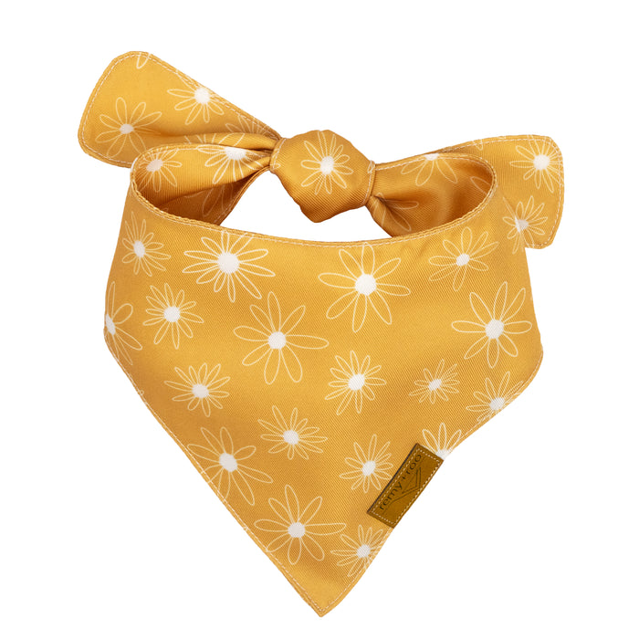 Golden Daisy