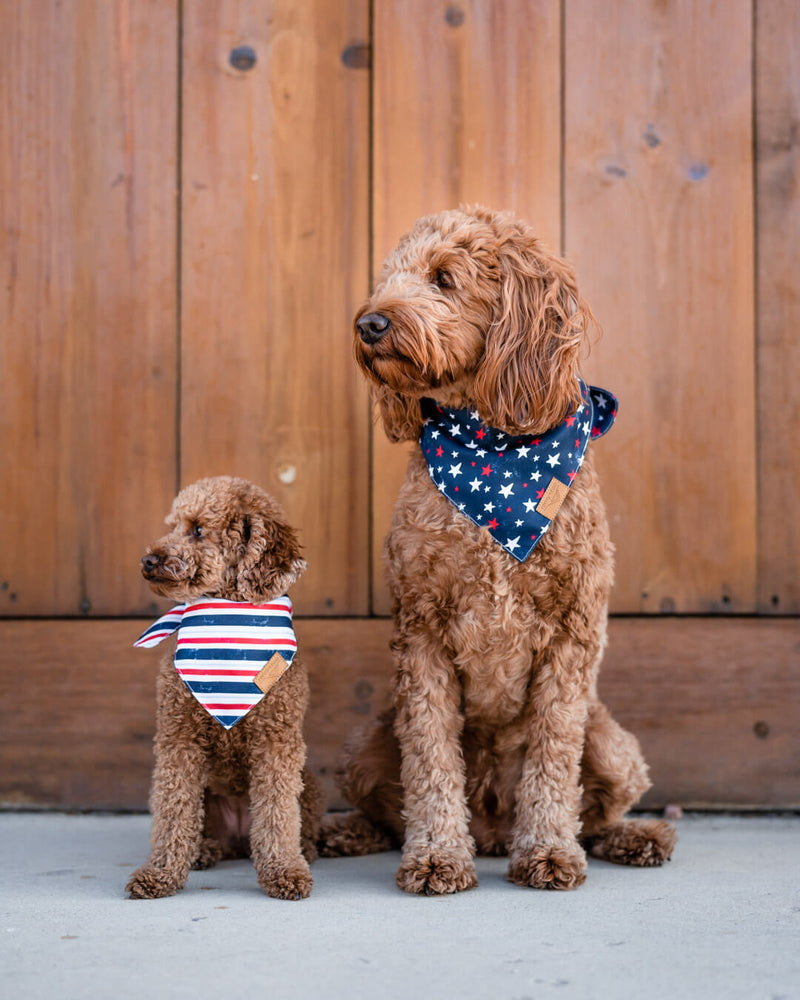 Stars+Stripes